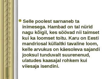 Pruunkaru #4