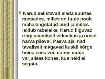 Pruunkaru #5