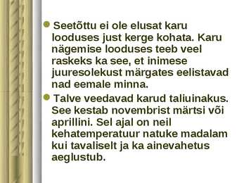 Pruunkaru #6
