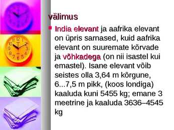 Aafrika elevant #2