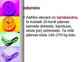 Aafrika elevant #3