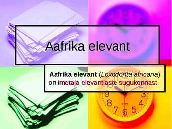 Aafrika elevant