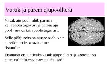 Inimese närvisüsteem #6