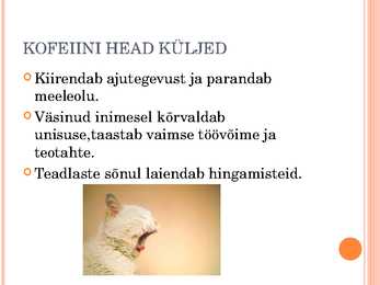 Kofeiin #3