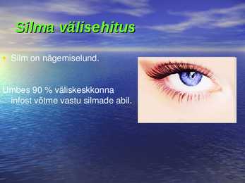 Silm #2