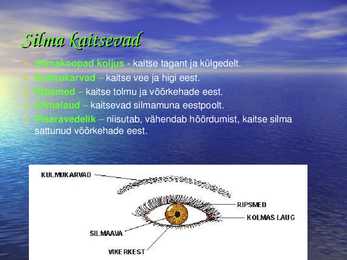 Silm #3