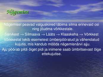 Silm #6