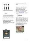 Vanaadium #5