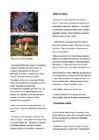 Vanaadium #6