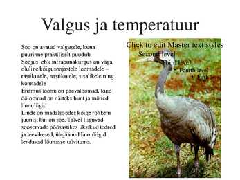 Madalsood #8