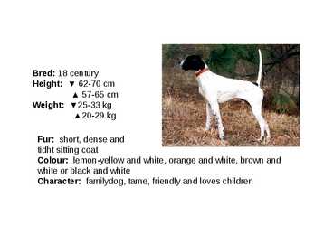 Inglise koerad - English dogs #11
