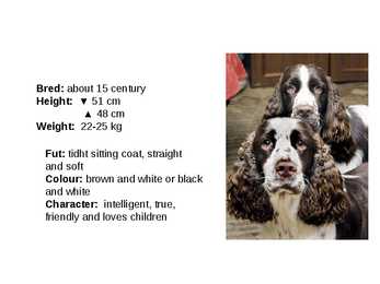 Inglise koerad - English dogs #13