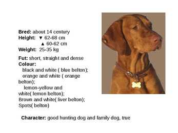 Inglise koerad - English dogs #15