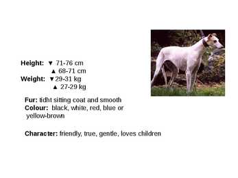Inglise koerad - English dogs #5