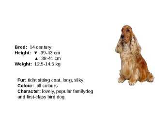 Inglise koerad - English dogs #7
