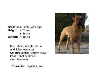 Inglise koerad - English dogs #9