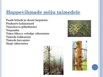 Happevihmad #6