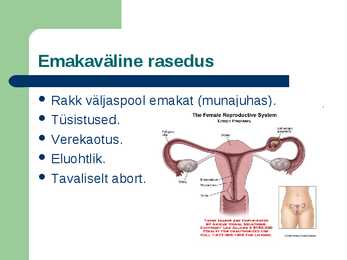 Raseduse kulg #3