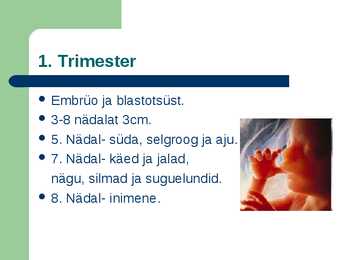 Raseduse kulg #4