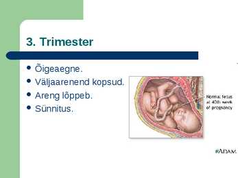 Raseduse kulg #6