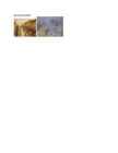 Realism-Romantism-Impressionism #3