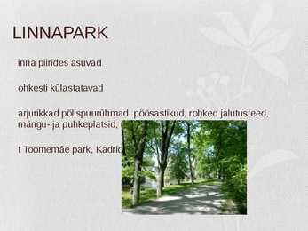 Looduslik kooslus-Park #4