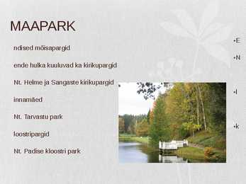 Looduslik kooslus-Park #5