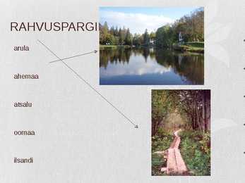 Looduslik kooslus-Park #6