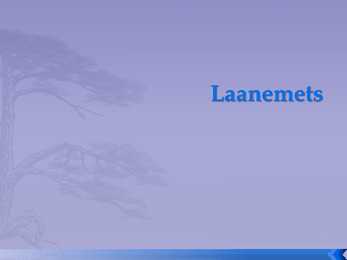 Laanemets