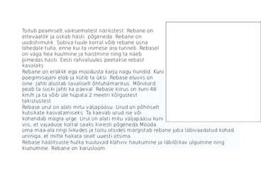 Rebane #2