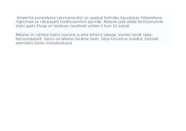 Rebane #3