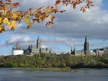 Canada #15