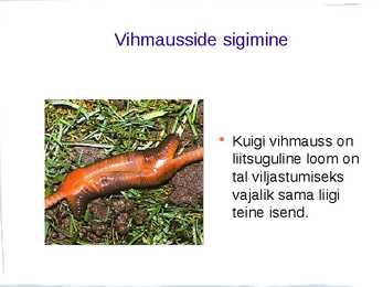 Ussid #13