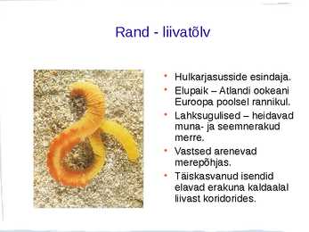 Ussid #15