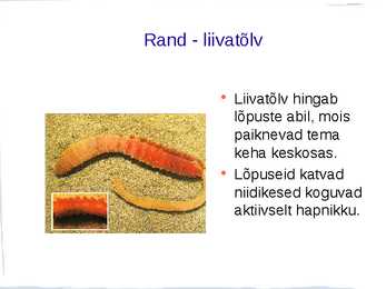 Ussid #16