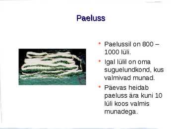 Ussid #5