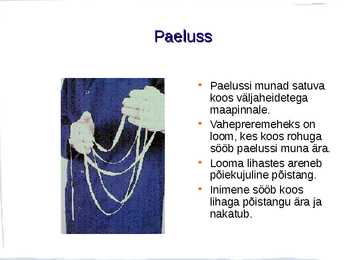 Ussid #6