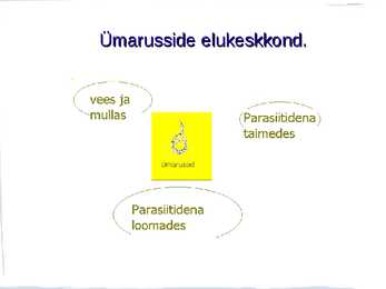 Ussid #7