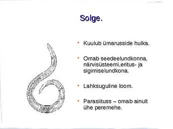 Ussid #8
