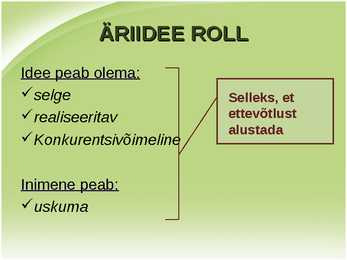 Äriidee hindamine-John Mullins #2
