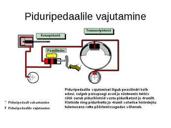 Pidurid-abs #15