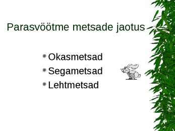 Parasvöötme metsad #2