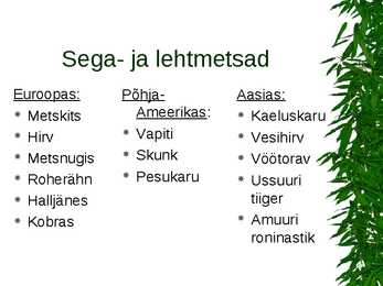 Parasvöötme metsad #14