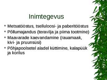 Parasvöötme metsad #16
