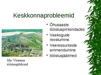 Parasvöötme metsad #17