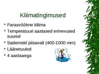Parasvöötme metsad #4