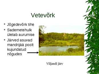 Parasvöötme metsad #5