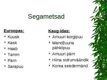 Parasvöötme metsad #9