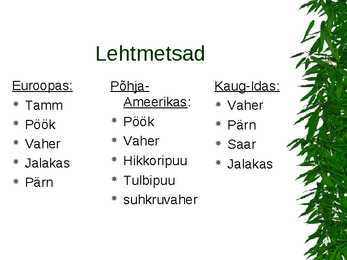 Parasvöötme metsad #10