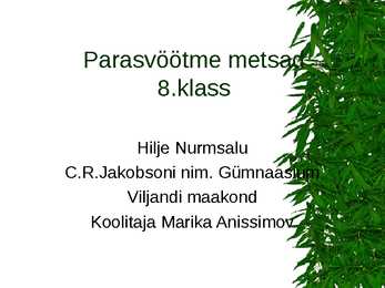 Parasvöötme metsad